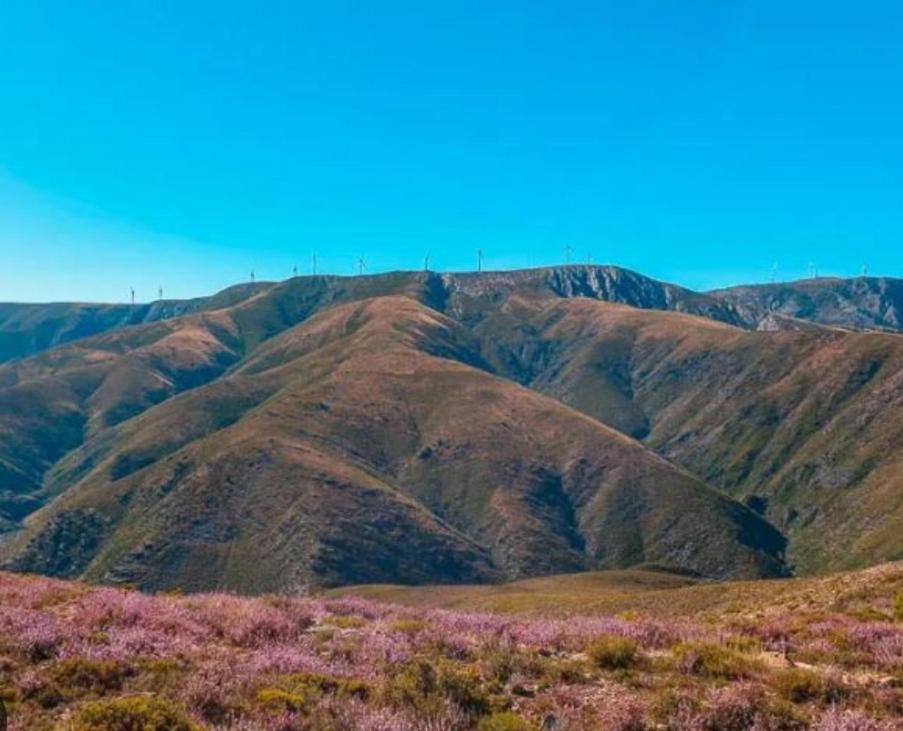 Casa Tia Vina - Serra Arouca Ngoại thất bức ảnh